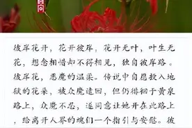 九大凄美之花，你是否知道他们的故事... ​​​图片