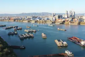 抢抓重大机遇，持续扩大开放——打造国内国际双循环市场经营便利地平南在行动！图片