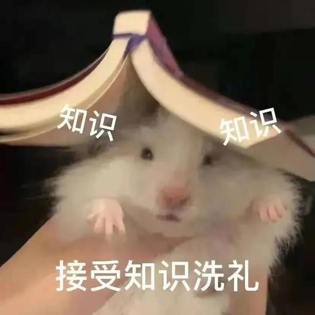 累了毁灭吧表情包