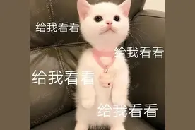 12所院校36个新增硕士点，考研人，你的捡漏机会来了图片