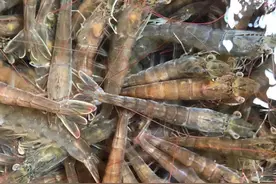 鲜活大虾到底是上锅蒸还是下水煮更鲜嫩好吃？两种方法你选哪种？图片
