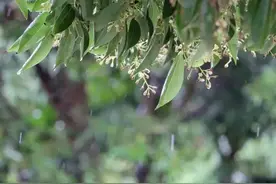 历年高考常考词性转换全汇总，赶快练起来图片