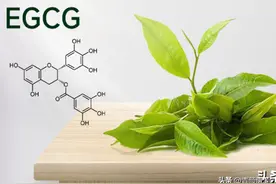 科研证实：EGCG对皮肤具有保湿和抗氧化作用图片