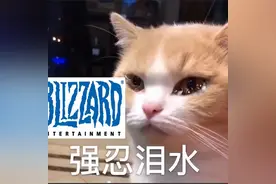 玩家教设计师做《炉石》，暴雪还真听了？看盲人玩游戏很难不泪目图片