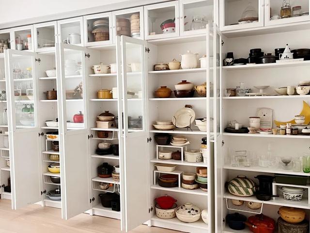 花胶可以用普通电炖锅 花胶可以直接用炖锅炖吗