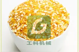 新款双动力玉米脱皮制糁机（苞米碴子机玉米渣机）操作指南图片