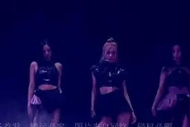 Lisa美国演唱会演出服装引热议！不穿安全裤，半个臀部露在外面图片