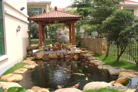 想在自己的家里小桥流水花园假山-那就这样做图片