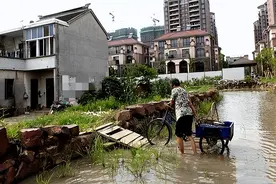 苏州钉子户：坚持12年，补偿款100万涨到1000万仍不搬，现后悔了图片