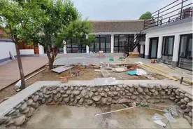 农村老话“门前种五树，家旺人也富”是啥意思？五树分别指的啥？图片