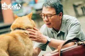 国版《忠犬八公》幕后故事：大黄是老演员，18只狗狗来自肉狗市场图片
