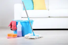 家用拖把中，哪一种最“值得买”？保洁阿姨用经验告诉你答案图片