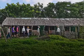 回乡种地的年轻人：最大20亩，身心都自由了图片