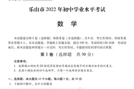 2022年全国中考真题分享四川乐山数学图片
