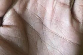 俗语“掌中有三奇，富贵莫要提”，是啥意思？老祖宗的识人术图片