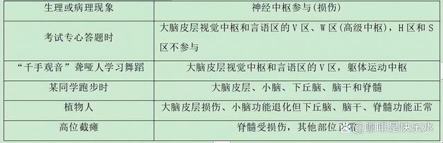 高中生物-人体内环境稳态的生理意义及调节