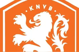 「2022世界杯32强巡礼」橙衣军团——荷兰队图片