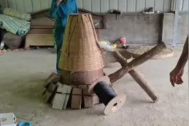 被层层镇压，据说咬过多只鸡的猫，最后还是迎来好的结局图片