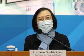 香港一宠物店仓鼠新冠病毒检测样本呈阳性 34家出售仓鼠宠物店需停业图片