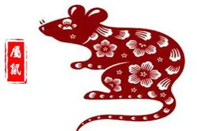 属鼠之人的友情、亲情、世情与恋情（译文）图片