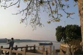 周锦辉｜望海潮·红旗漫卷西风图片