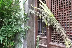 端午门上挂艾草，有人说不仅“倒挂”还要“三长两短”，科学吗？图片