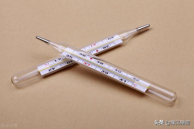 兽医知识：比较几种常用退烧药特点和区别，看完才知怎么用！收藏
