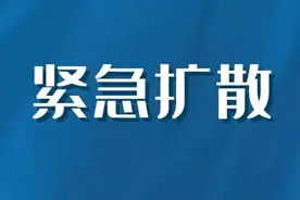 英语四、六级考试时间确定！江西省教育考试院最新通知图片