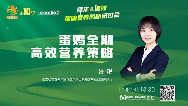 六位技术实战精英，给出蛋鸡营养增效&成本控制详细方案