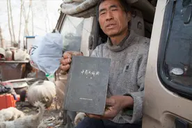 不想上班，想去“要饭和捡垃圾”，怎么办？牢记「流浪铁律」20条图片