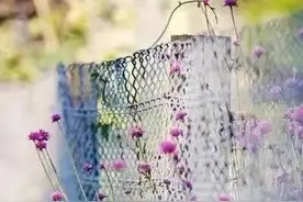 太宰治《人间失格》：现实的世界，无处不在都是枷锁图片