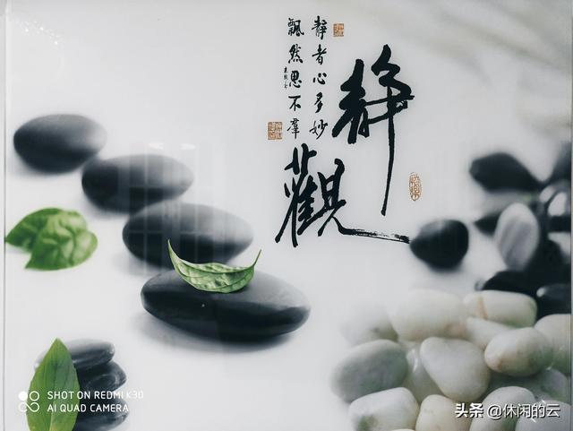 静者心多妙飘然思不群的解释（静者心多妙）