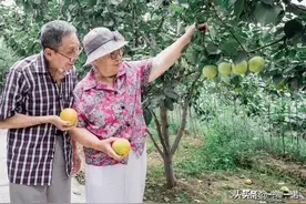 带公公婆婆一起旅游，10天行程，九天在生闷气：扫兴的父母很窒息图片