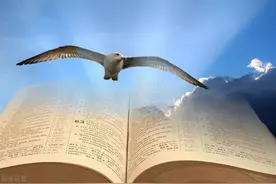 《你当像鸟飞往你的山》——观念的枷锁图片