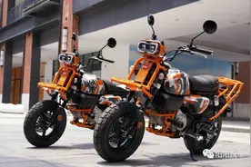 跨界小迷你，曼肯灵明野趣版，售价12980，能玩能跑更能装图片