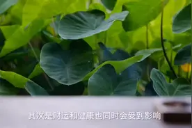 要想运势好，就不能有横梁压顶。#风水玄学图片