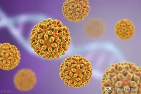 乙肝病毒DNA的数值降到多少，意味着病情快好了，可以停药了？图片
