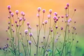 真正的朋友，即使不常联络也会彼此理解，彼此不陌生图片