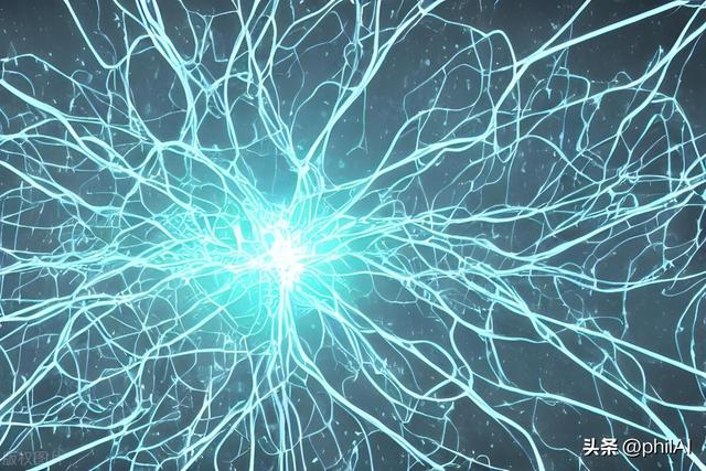 深度学习模型的训练技巧：优化器、过拟合处理与超参数选取