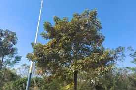 关于孩子在哪里上学更好，我身边的两个例子图片
