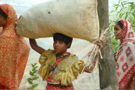 比印度还脏乱差？人口超过1.6亿的孟加拉国为何这么穷？图片