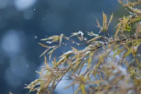 如果有一天，我不再主动找你图片