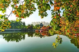 秋日掠影 | 定格N个心动瞬间图片