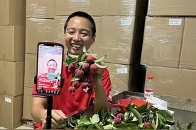 美荔东莞 给荔中国|东莞果农“开麦”直播卖荔枝图片