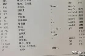 尿常规蛋白、潜血有加号，红细胞升高，分别应该咋应对？图片