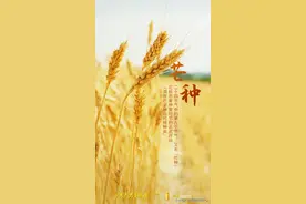 斗指巳，夏争时，麦黄农忙，芒种已至图片