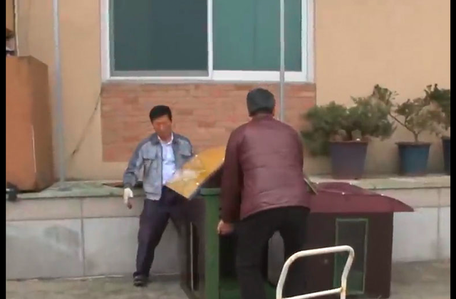 狗狗欠下风流债,老婆带孩子上门霸占窝,亲子鉴定结果好气又好笑