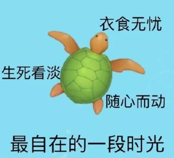 打开朋友圈,发现被一个小游戏刷屏了