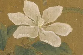 诗画寻芳：生如夏花之绚烂！图片