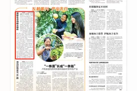 淮滨县：规模化养鸡助农增收图片